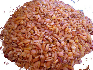 Cooked and expanded soya bean